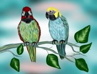 Mortie and Mattie Macaw